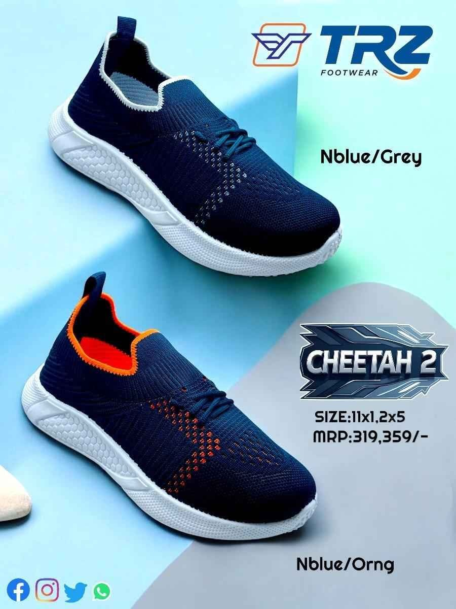 CHEETAH-2