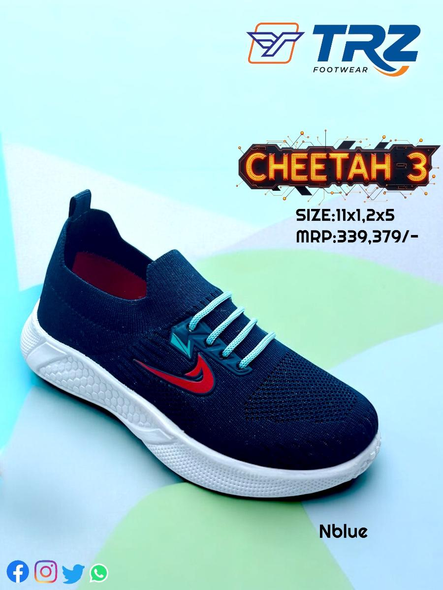 CHEETAH-3